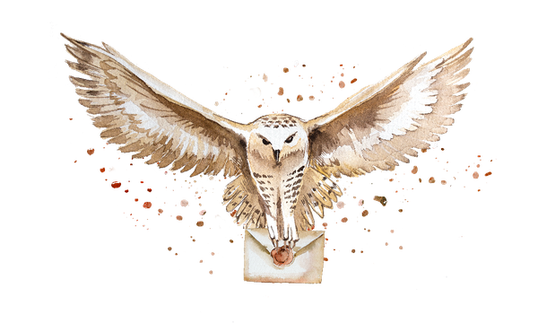 Zauberhafte Briefeule