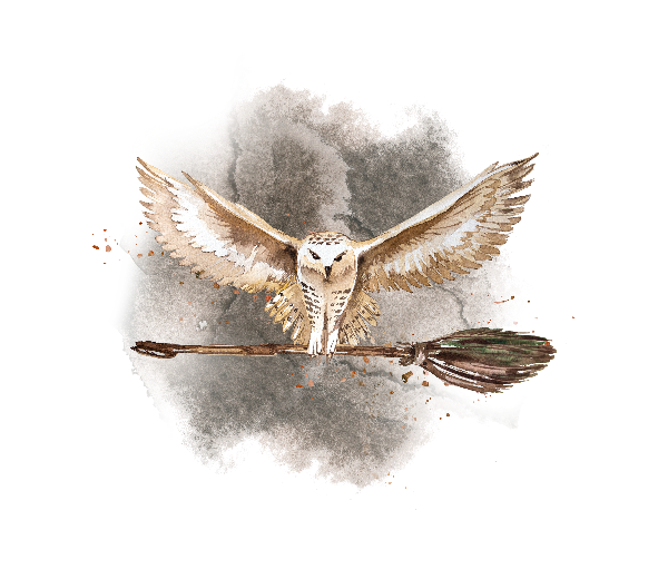 Besenflug