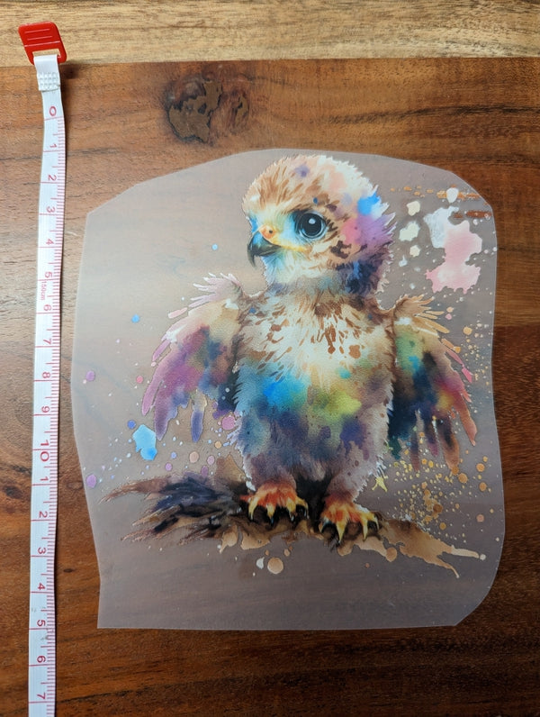 magischer Babyadler